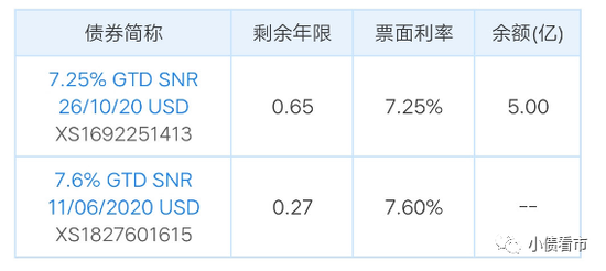 两只境外债明细