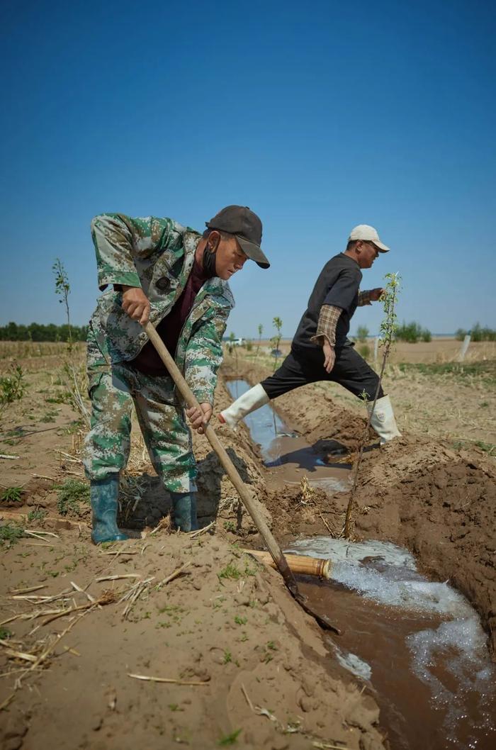  由于近年来降水减少，当地村民习惯打井用地下水灌溉